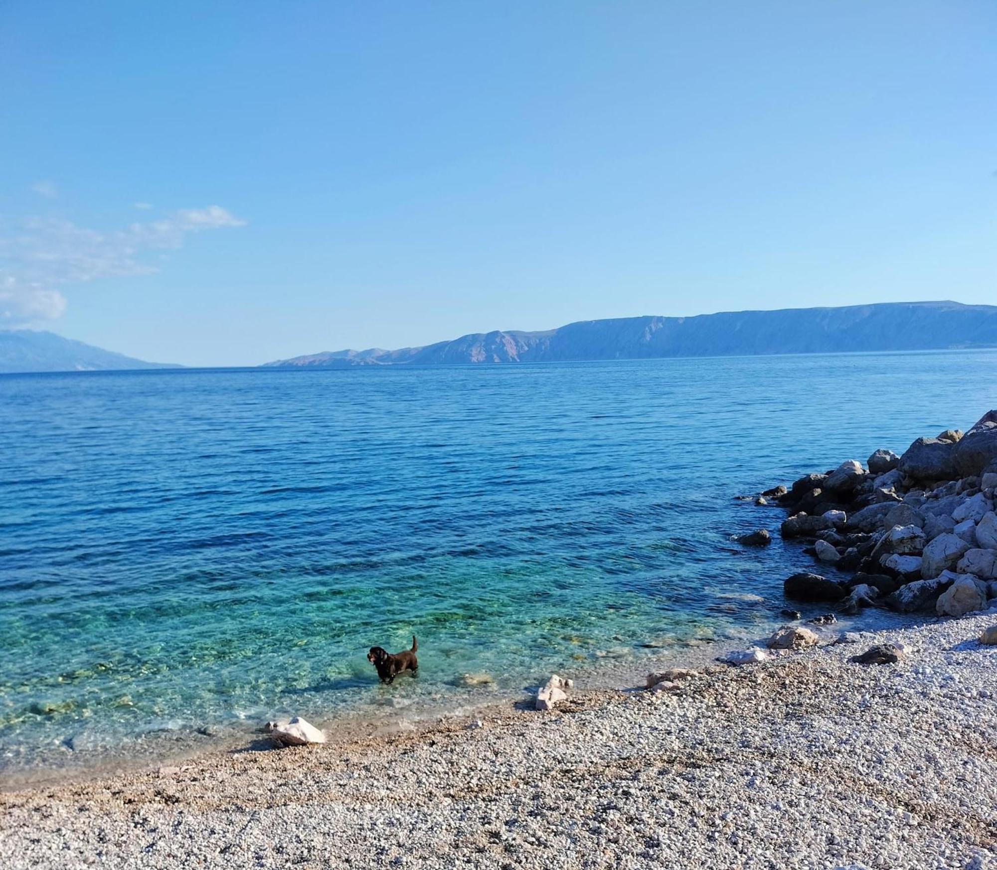 Apartmani Ivana Novi Novi Vinodolski Camera foto